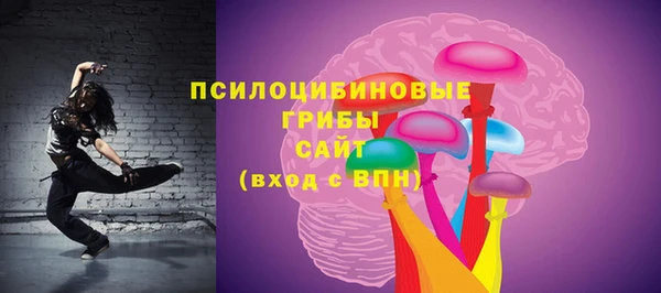 гашик Зеленокумск