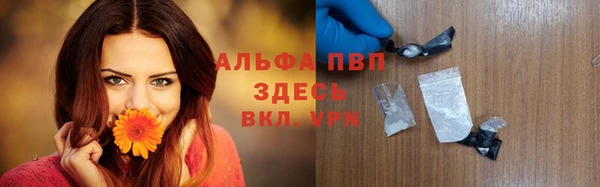 крисы Калининец