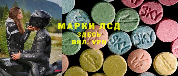 гашик Зеленокумск