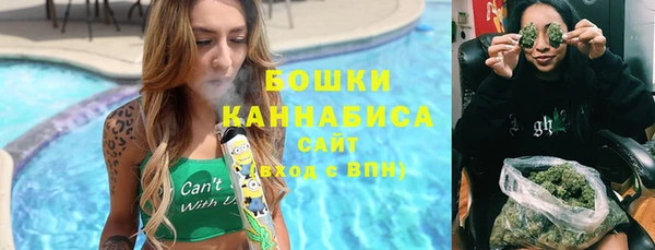 гашик Зеленокумск