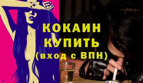 гашик Зеленокумск
