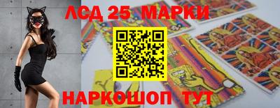 СК Тара