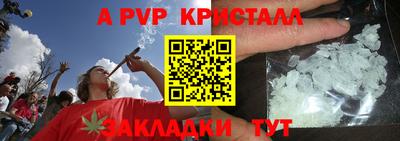 СК Тара