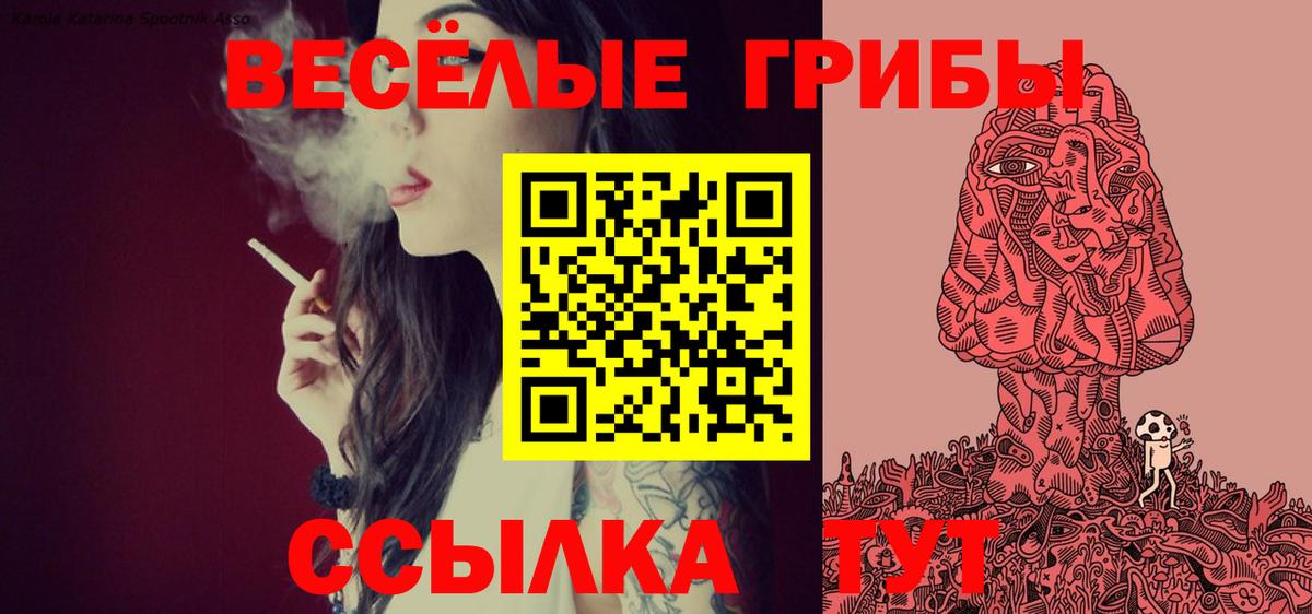 Псилоцибиновые грибы GOLDEN TEACHER  Псилоцибиновые грибы Magic Shrooms  Шатура  Вход с VPN 